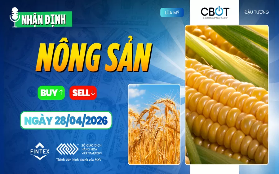 NHẬN ĐỊNH THỊ TRƯỜNG NÔNG SẢN NGÀY 28/04/2026